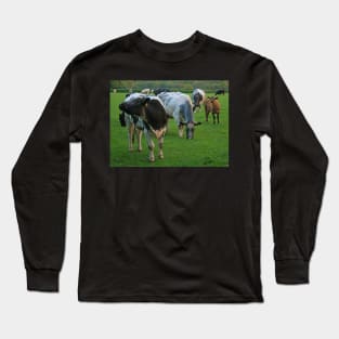 Hey, wotcha looking at ... Long Sleeve T-Shirt